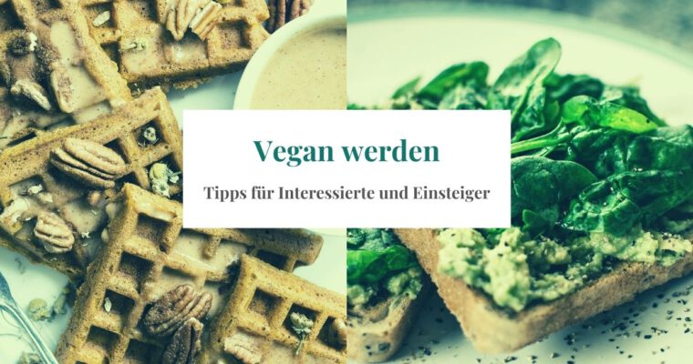 Vegan werden – Tipps für Interessierte und Einsteiger*innen