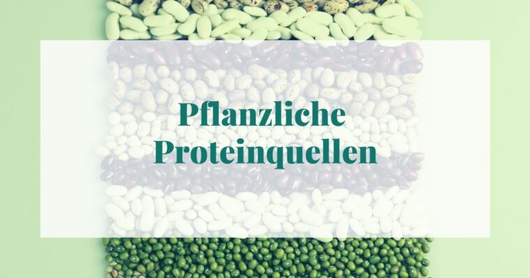 Pflanzliche Proteinquellen