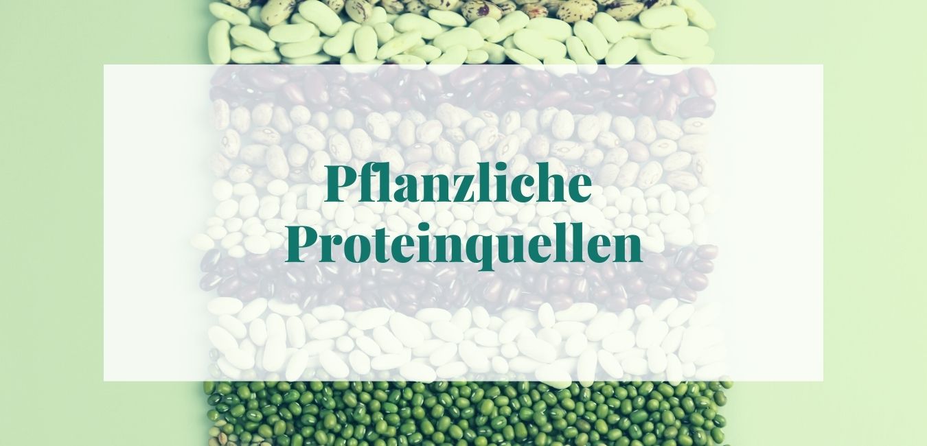 Pflanzliche Proteinquellen